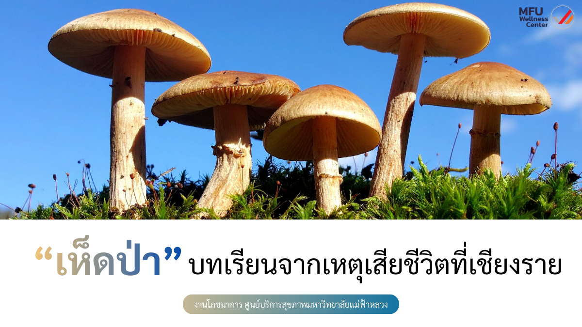 เห็ดป่า…คล้ายแต่ไม่ใช่: บทเรียนจากเหตุเสียชีวิตที่เชียงราย