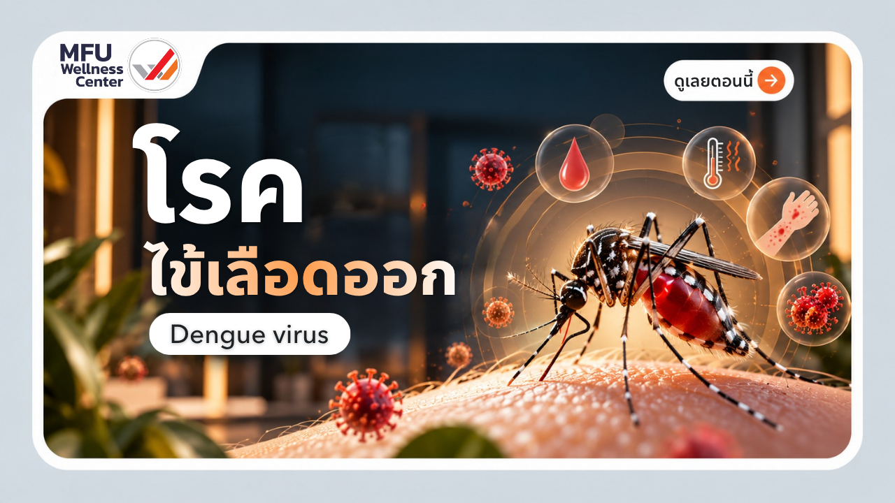 โรคไข้เลือดออก (Dengue virus)