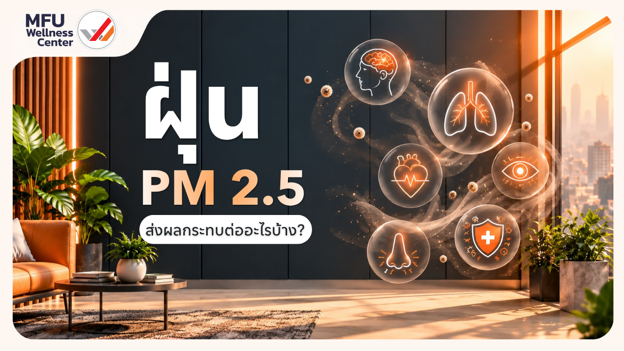 ฝุ่น PM2.5 ส่งผลกระทบต่ออะไรบ้าง?