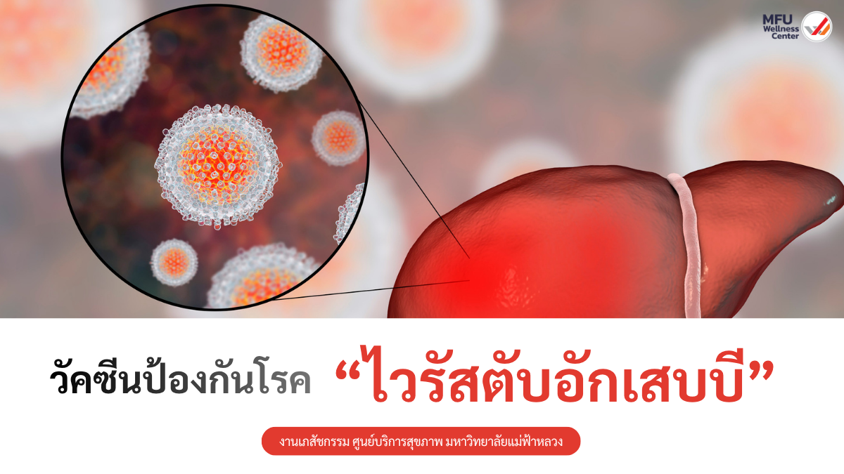 วัคซีนป้องกันโรคไวรัสตับอักเสบบี (Hepatitis B vaccine)